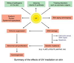 uv light