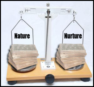 Nature vs nurture arguments for nurture essays