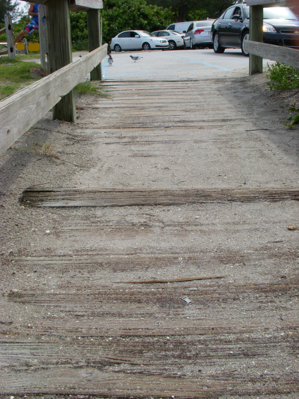 Jupiter Inlet SYP Timber Boardwalk resized 600