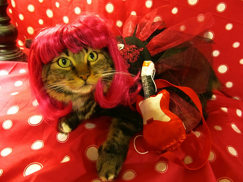 Rockstar_Cat