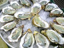 365 things to do in Boston oysters