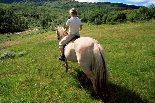 horseback riding near cabins in helen