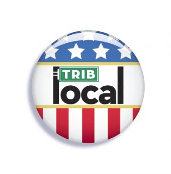 election results, new elected senators, newly elected to congress