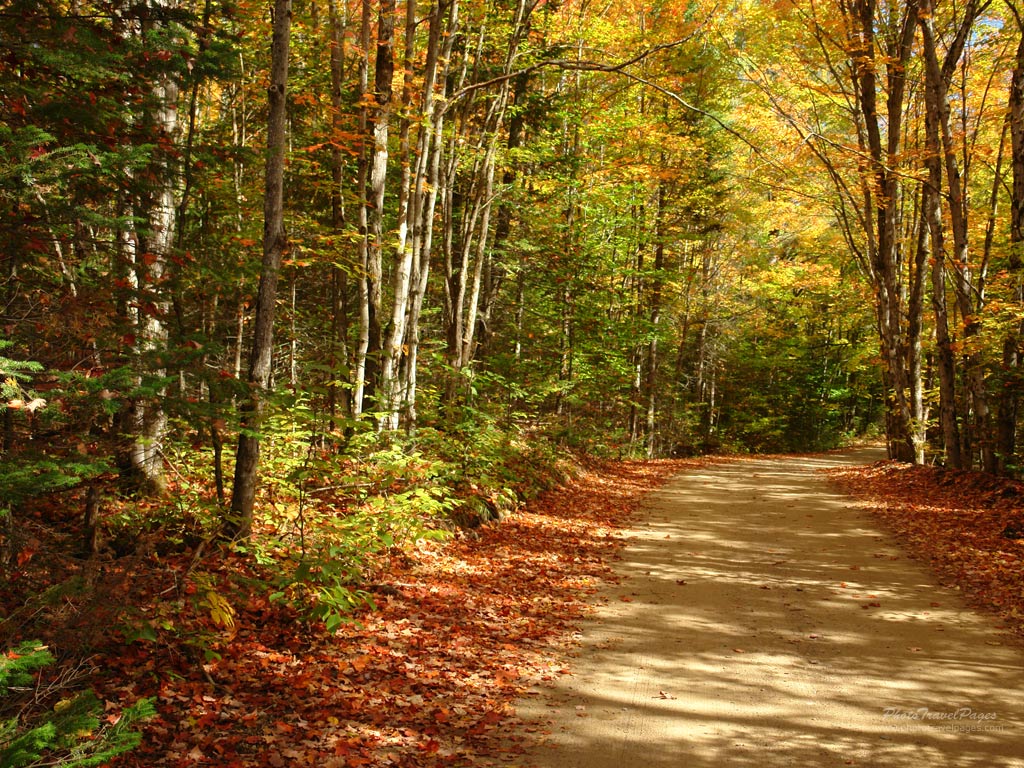 autumn,sports season