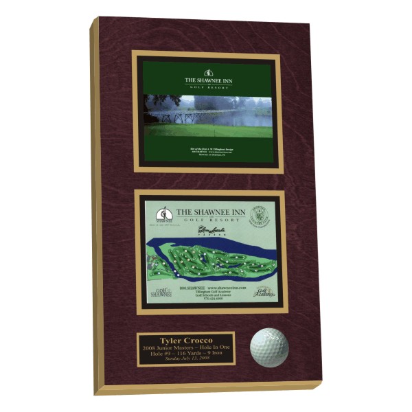 plaque