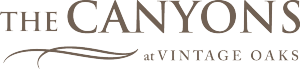 VO-Canyons-Logo-4-300x69