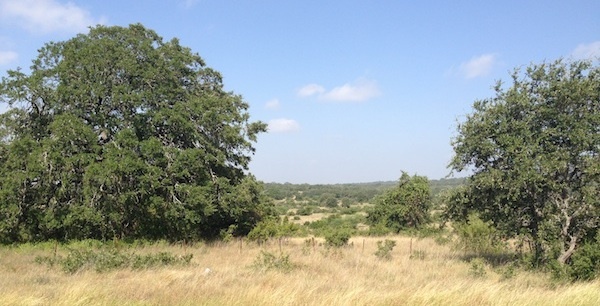 Vintage Oaks_Lots Land For Sale Texas Hill Country Vintage Oaks_Lots Land For Sale Texas Hill Country