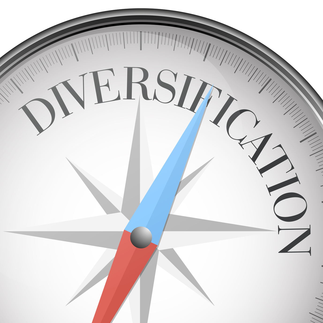 diversification strategy and top management team fit