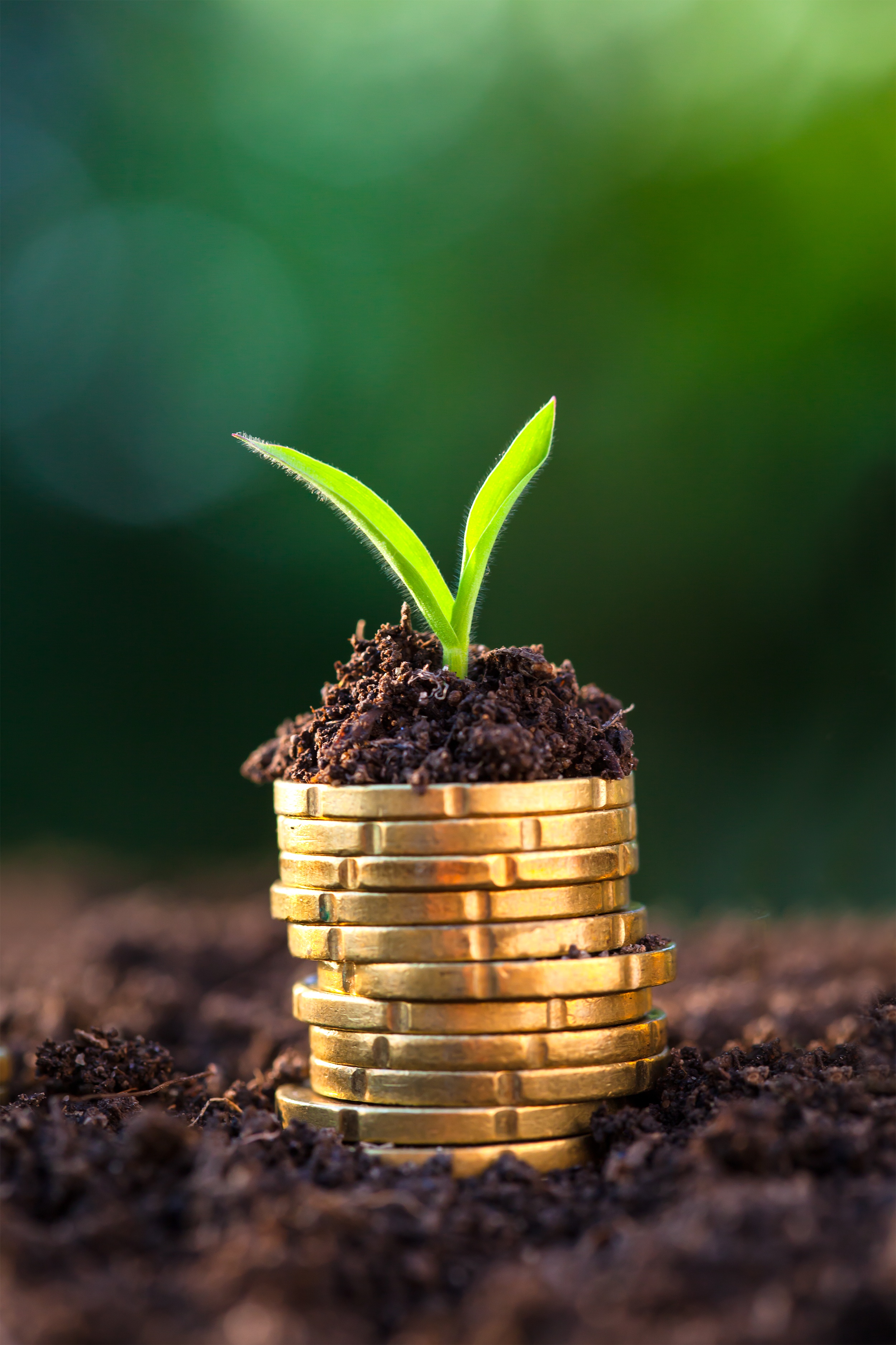 Pension Consultants, 401k Plan Administrator