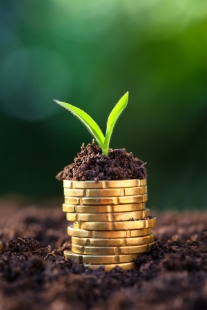 cash balance pension plan