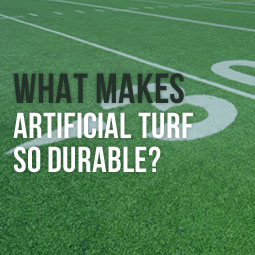 ✓ Durability and Longevity: - The Turf Warehouse