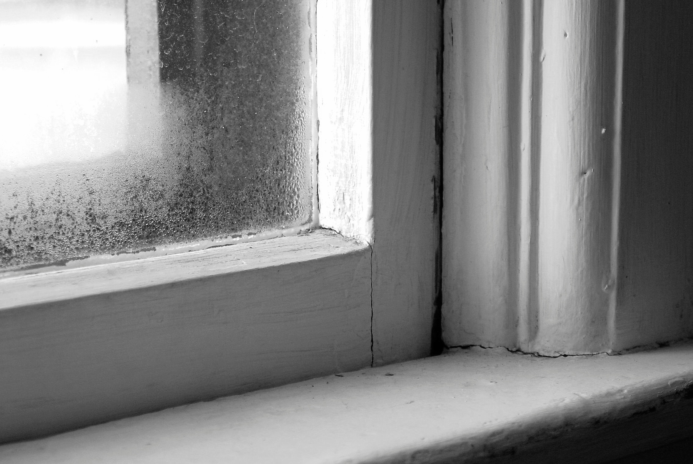 Regulate Humidity Indoors with COPD