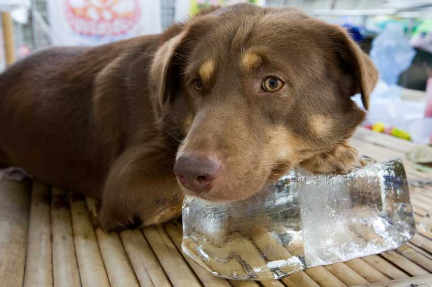 Stay Cool with COPD 