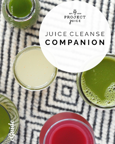 Juice Cleanse Companion e-Guide