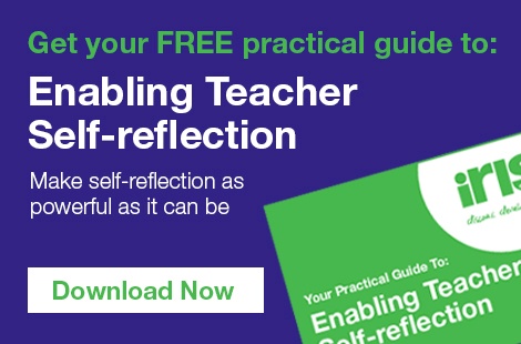Example Essay English Free Practical Guide To Self Reflection A A Modest Proposal Ideas For Essays also Example Of An Essay Proposal The Importance Of Selfreflection How To Write A Thesis Essay