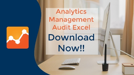 analytics management audit excel