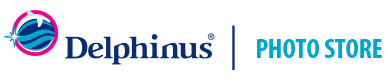 photo-delphinus-logo-header.png