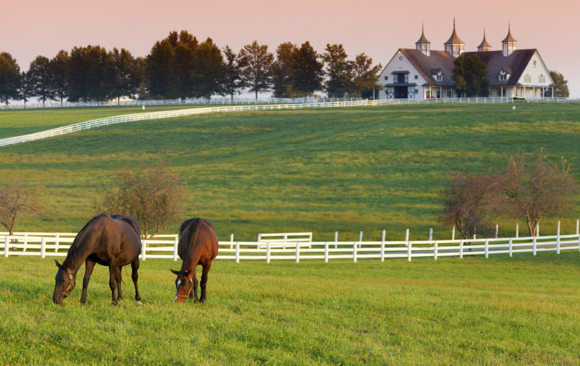 How many acres do you need to raise cattle?