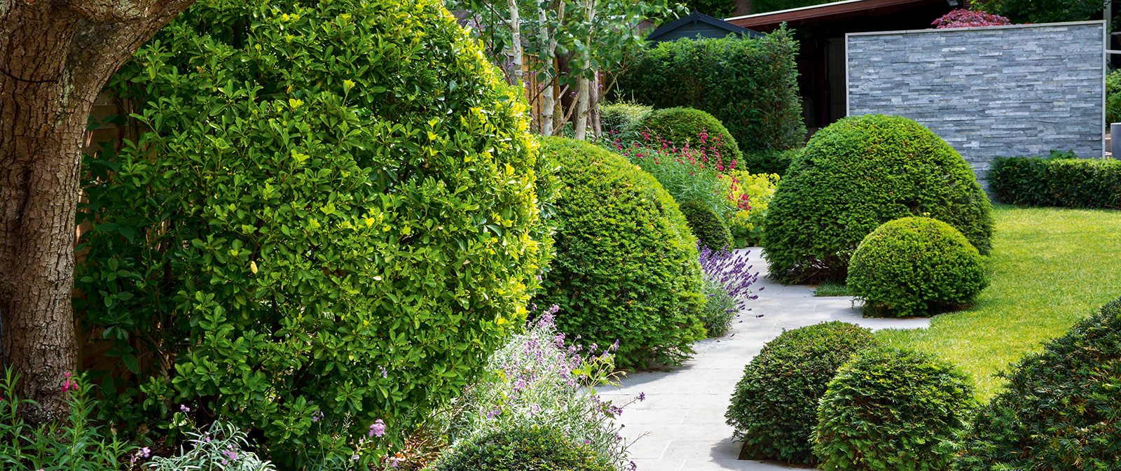 My Island: Notes from a Chef