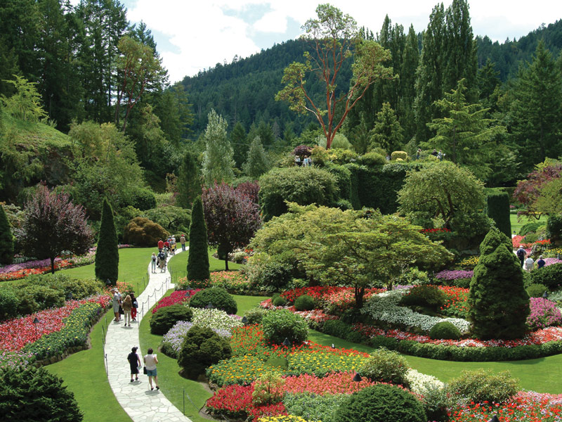 Victoria's world-famous Butchart Gardens were created by Jennie Butchart, who wanted to make something beautiful out of a disused limestone quarry previously used by her husband's cement company. Victoria's world-famous Butchart Gardens were created by Jennie Butchart, who wanted to make something beautiful out of a disused limestone quarry previously used by her husband's cement company.