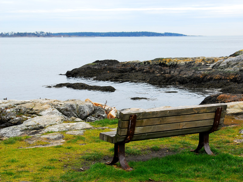 Uplands Park is a peaceful, rugged natural area just moments from the amenities of the city. Image: Shutterstock Uplands Park is a peaceful, rugged natural area just moments from the amenities of the city. Image: Shutterstock