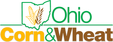 ocw-logo.png