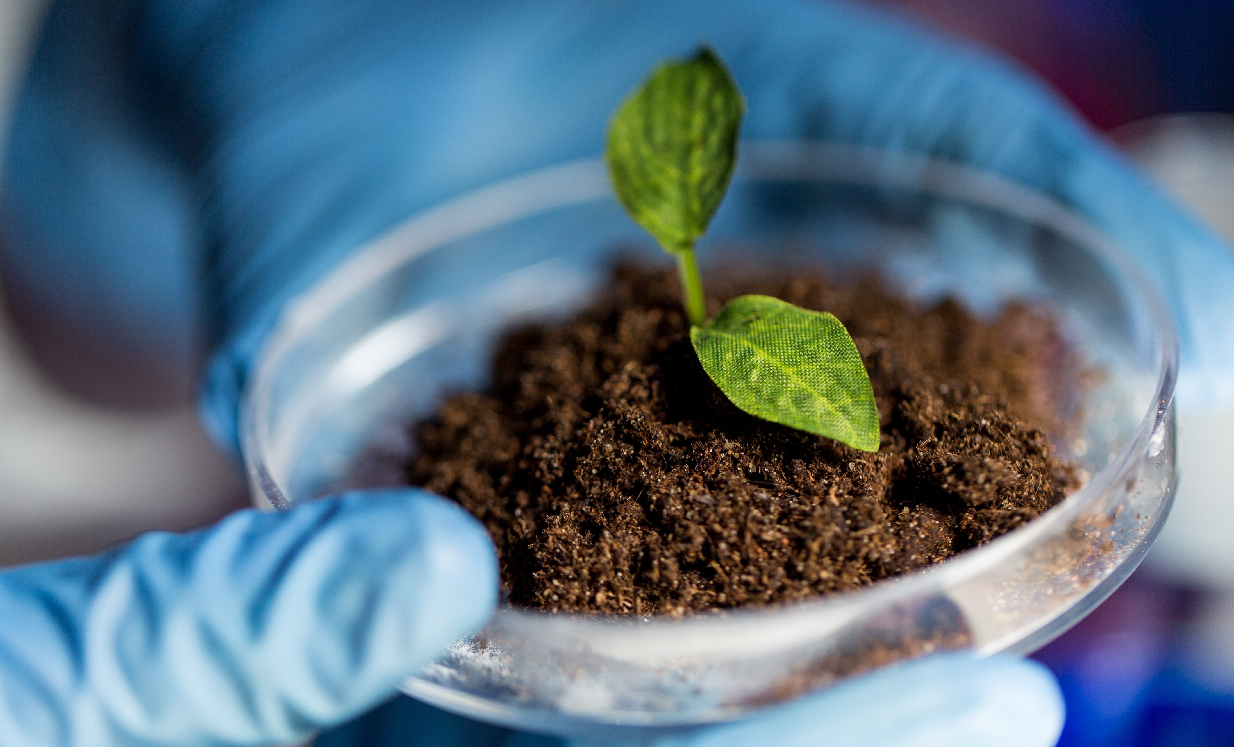 The Science Behind Holganix Soil Microbes 101