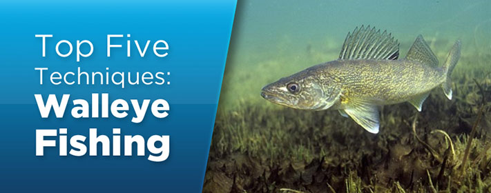 Top Five Walleye Fishing Tips