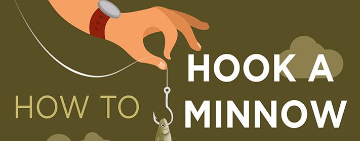 How To Hook A Minnow Like A Pro, Blog