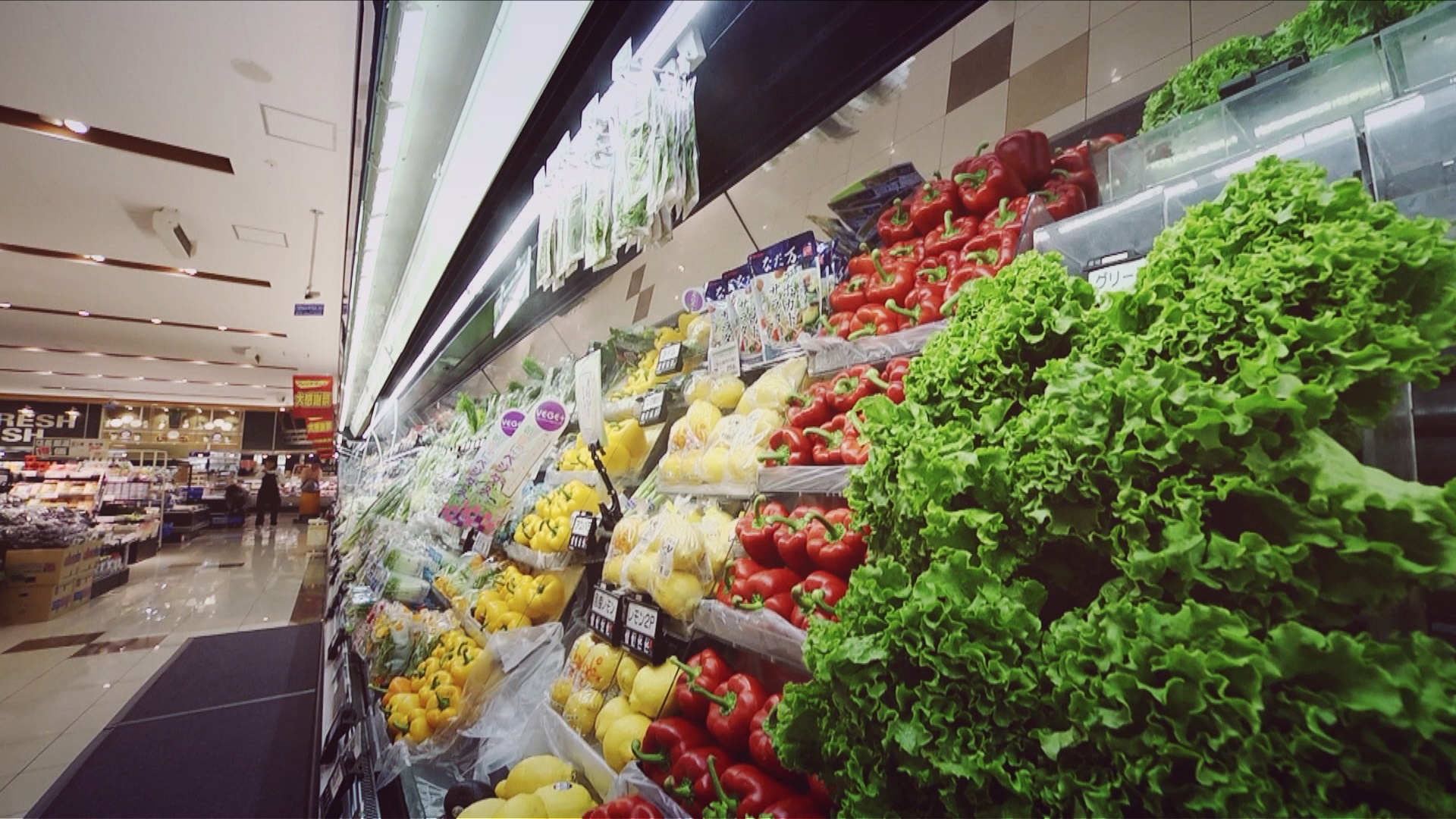 grocery.jpg