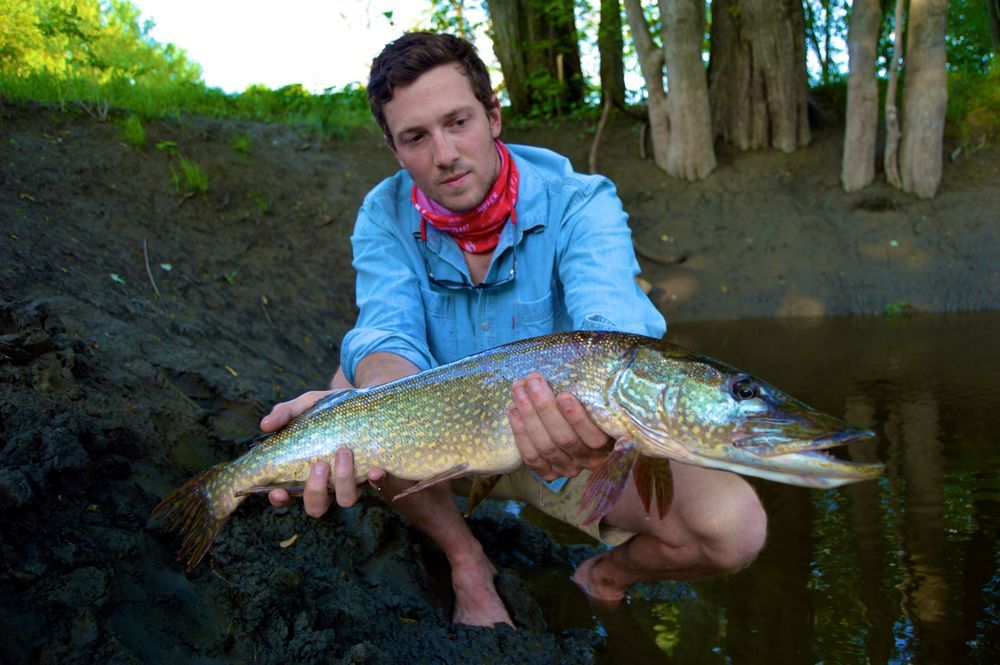Stripers 101 Top Striped Bass Fishing New England Tips
