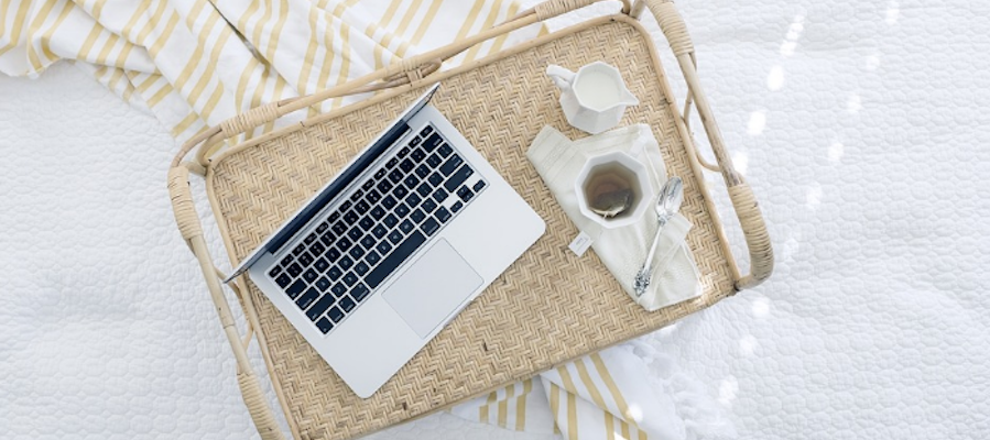 profession programmer essay dream