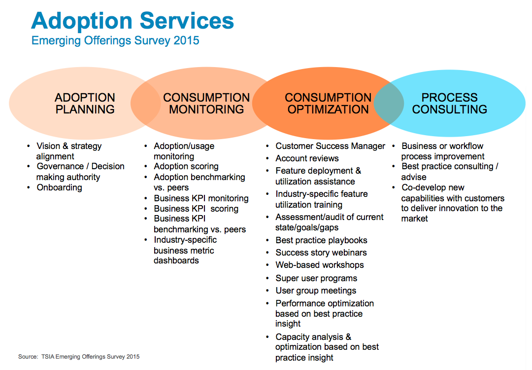 service adoption study how salesforce monetizes adoption services service adoption study how salesforce monetizes adoption services