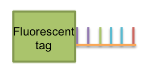 magnetic beads