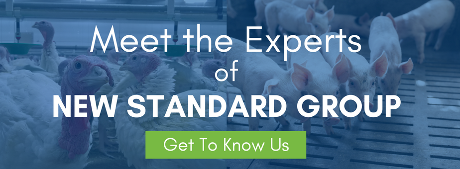 Meet the Experts at New Standard Group - Get to Know Us