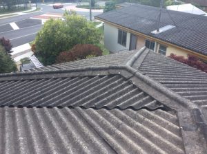 Metal Roofing - Brisbane - Client Talk: Why I wanted my asbestos roof gone