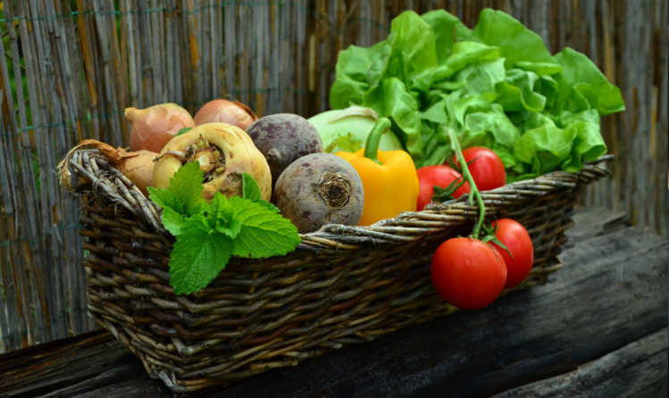 frutas y verduras sap industria alimentos bxti 2.jpg