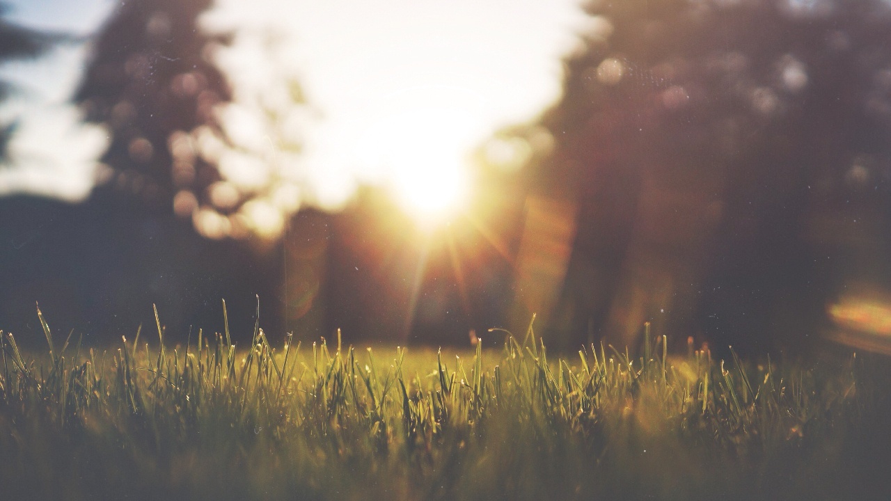 Clearly Social and Angels in the City lead £243,000 investment into social start-up Commonplace