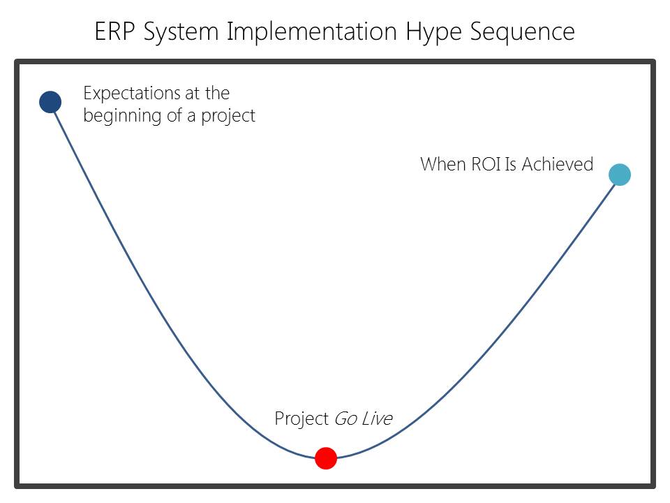erp system implementation hype sequence