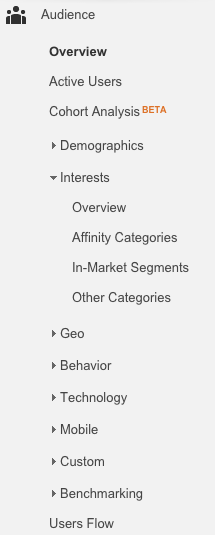 Google_Analytics_Audience_Screenshot