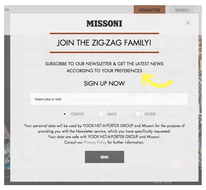 example ecommerce popup newsletter from MISSONI 
