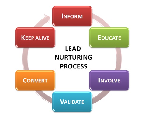 Lead Nurturing Process