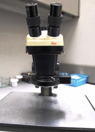 Microscope.png Microscope.png