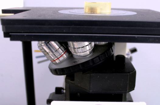 X-Section_Microscope.png X-Section_Microscope.png