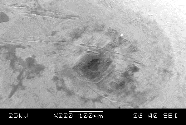 electrospec-picture-1