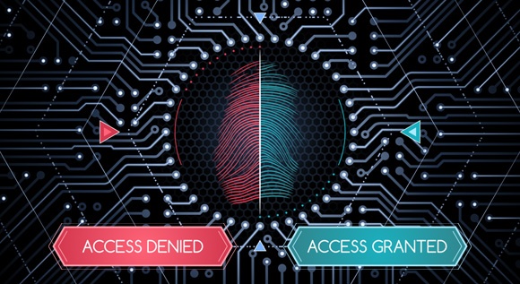 El lado negativo de la identificación biométrica