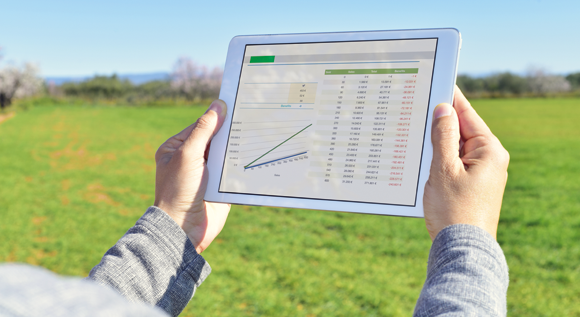 El Internet de las Cosas y el Big Data en la Agroindustria