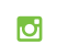 Instagram Icon