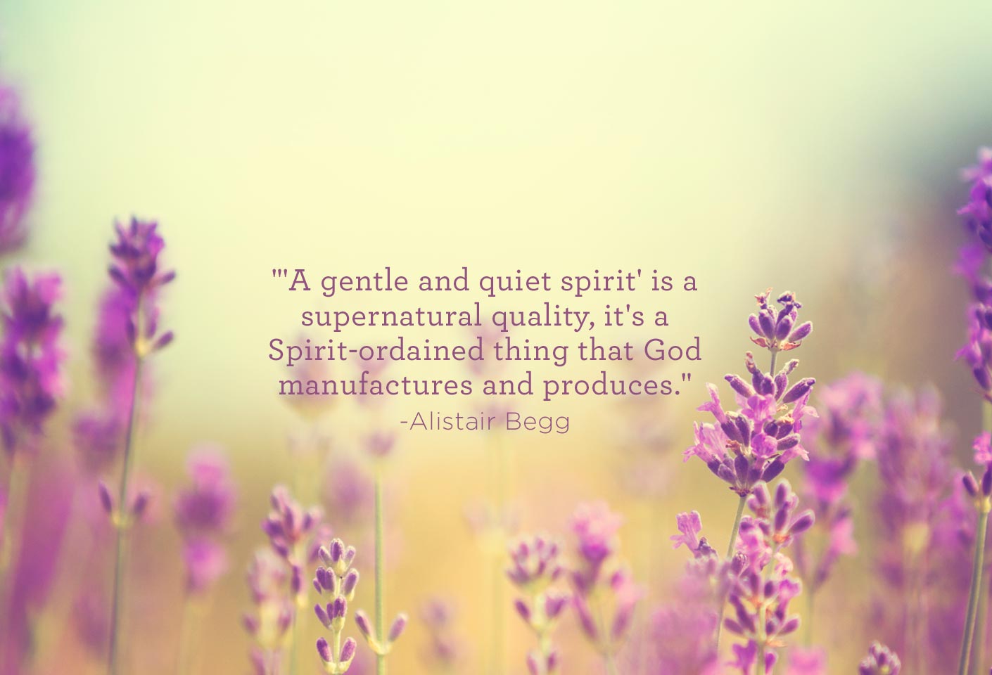 A Gentle and Quiet Spirit