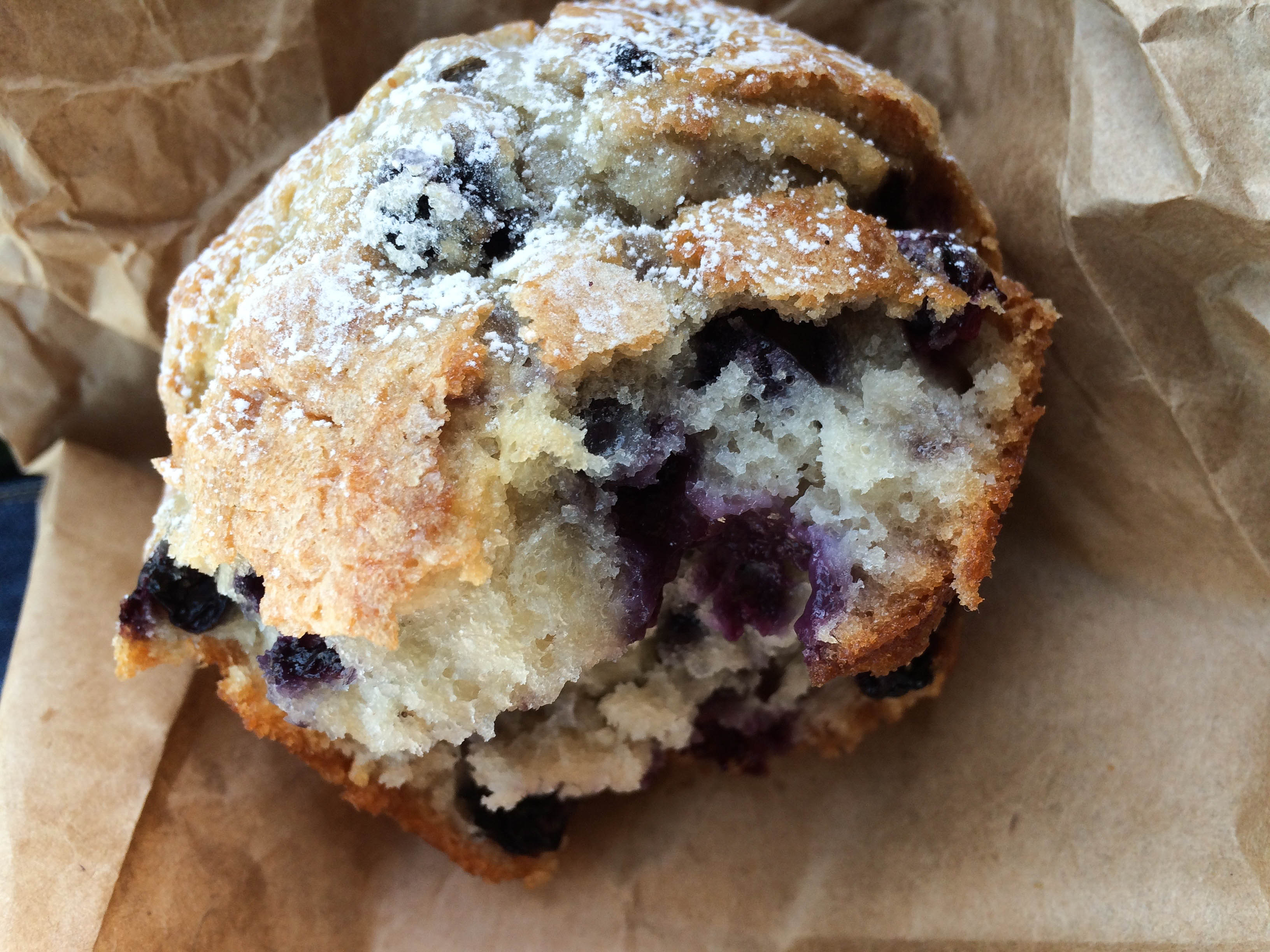 Coffee Bean Blueberry Muffin Calories 